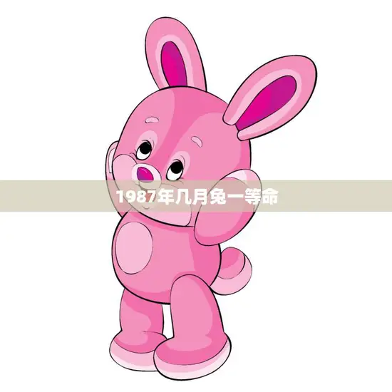 1987年几月兔一等命(兔子们的幸运时刻)
