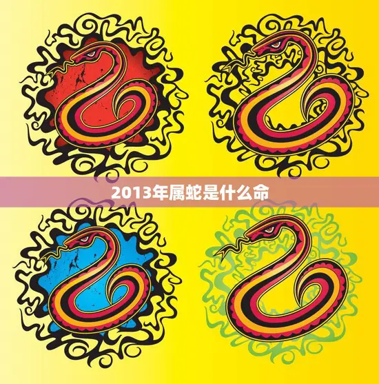2013年属蛇是什么命(解析财运旺盛事业顺利)