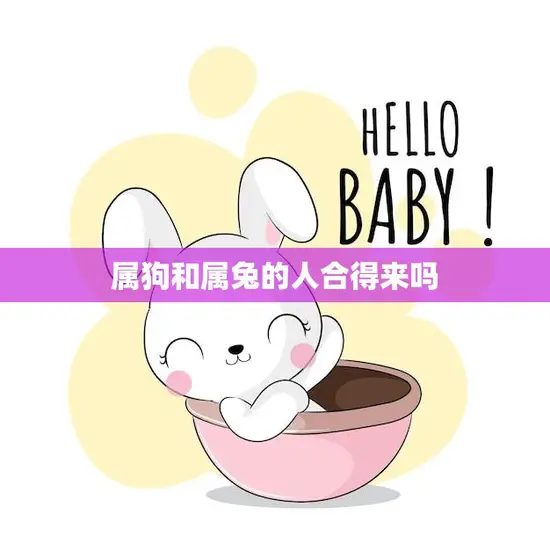 属狗和属兔的人合得来吗(探究星座是否影响人际关系)