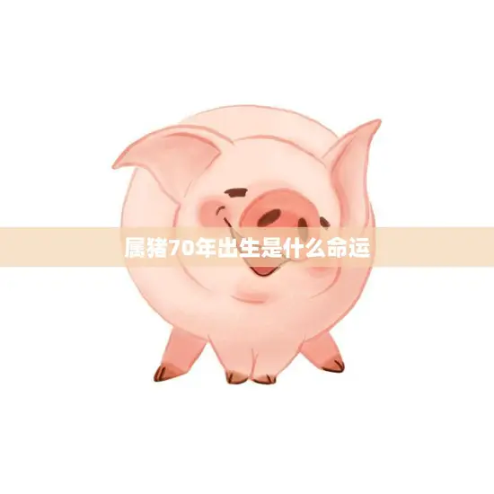 属猪70年出生是什么命运(解析财富与健康如何)