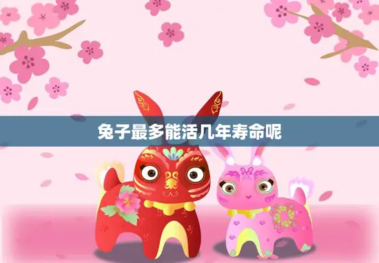 兔子最多能活几年寿命呢(探究兔子的寿命有多长)