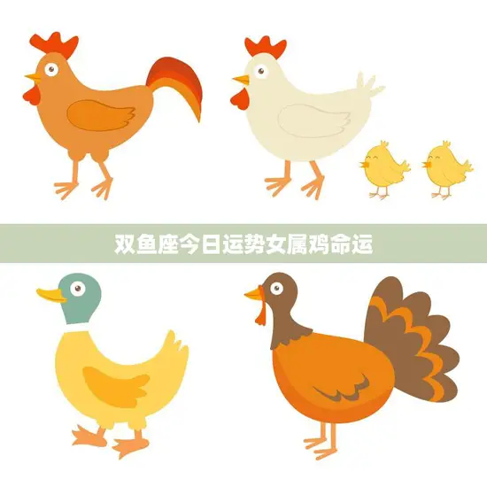 双鱼座今日运势女属鸡命运(如何把握今天的机会)