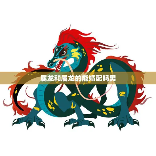 属龙和属龙的能婚配吗男(解析婚姻中的龙缘)