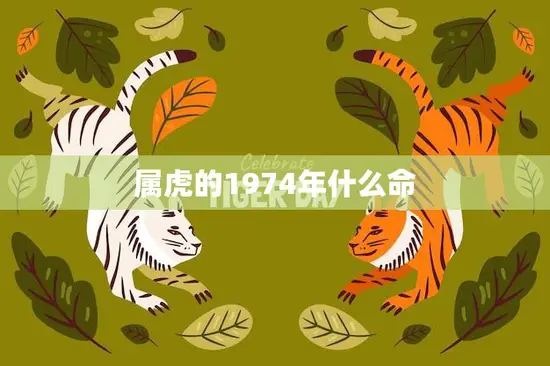属虎的1974年什么命(如何在事业和财运上取得成功)