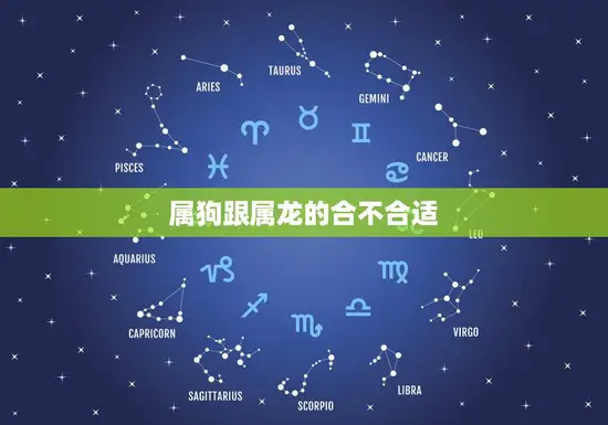 属狗跟属龙的合不合适(如何看待这对星座配对)