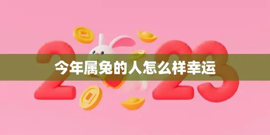 今年属兔的人怎么样幸运(掌握这些财富密码财运滚滚来)