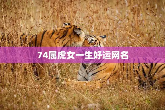 74属虎女一生好运网名(如何选择)