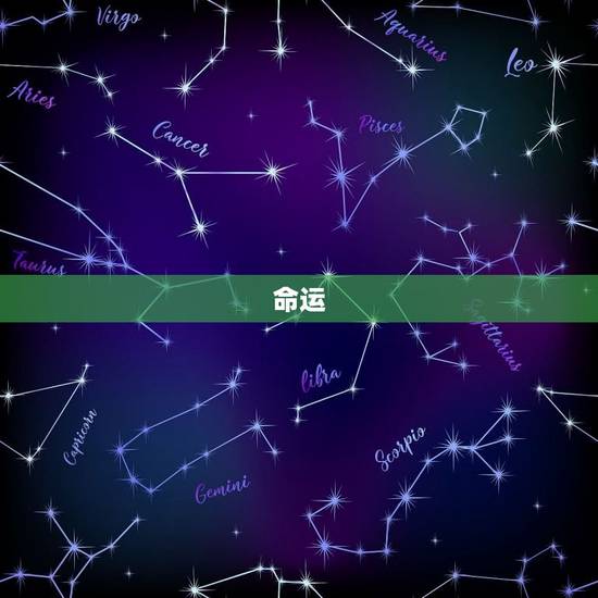 七月属蛇的人命运如何(探寻蛇年出生者的未来之路)