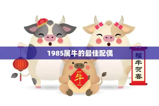 1985属牛的最佳配偶(如何选择)