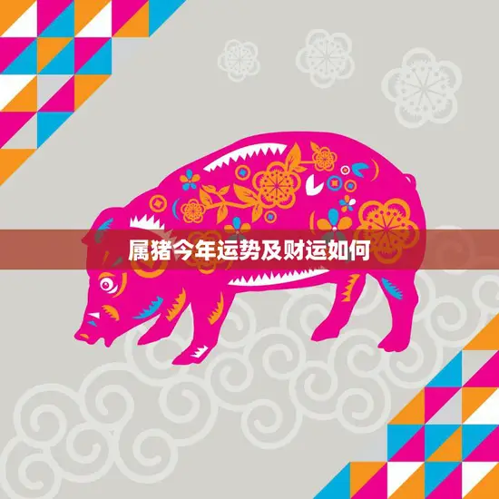 属猪今年运势及财运如何(猪年大吉财运亨通)
