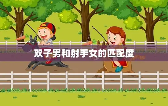 双子男和射手女的匹配度(天马行空的爱情之旅)