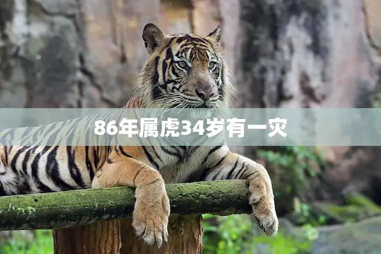 86年属虎34岁有一灾(如何化解)