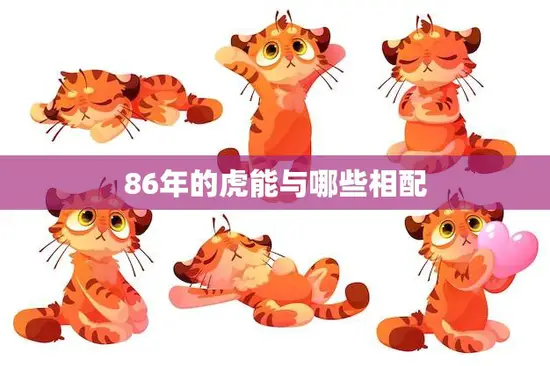 86年的虎能与哪些相配(寻找最佳配对)
