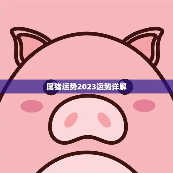 属猪运势2023运势详解(猪年财运旺盛事业顺遂但需注意健康问题)