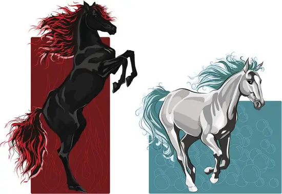 属马人生什么属相宝宝好(如何选择最佳宝宝属相)