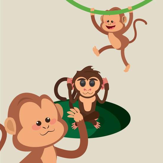 有多少猪猴在一起结婚的(猴山盛大婚礼百只猪猴共同见证爱情)