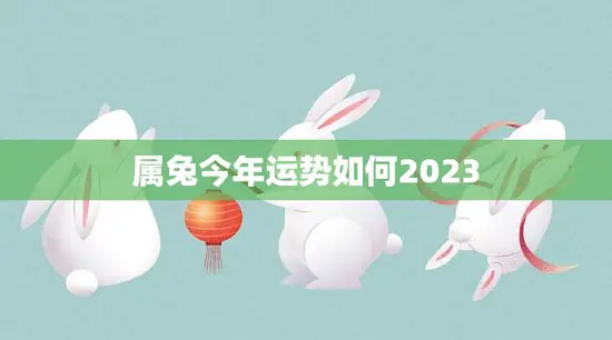 属兔今年运势如何2023(兔子们2023年运势大揭秘)