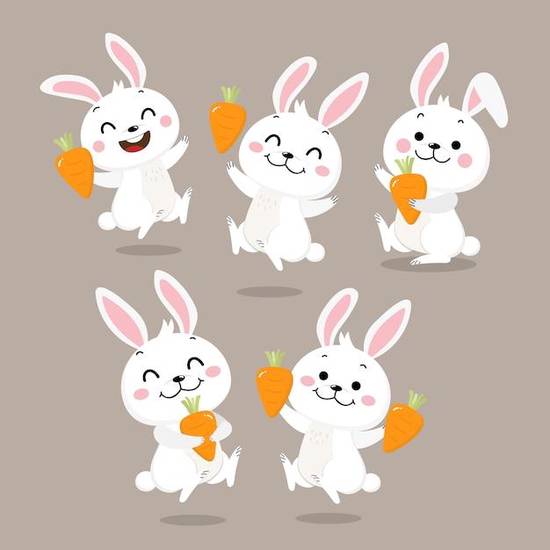 63年属兔的男生渣不渣(如何看待)