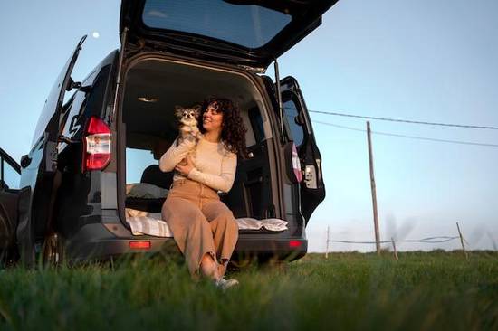 82年的狗今天运气如何(解析狗年出生的人在2023年运势如何)