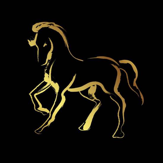 属马是哪年出生的人命运(马年人的命运如何)