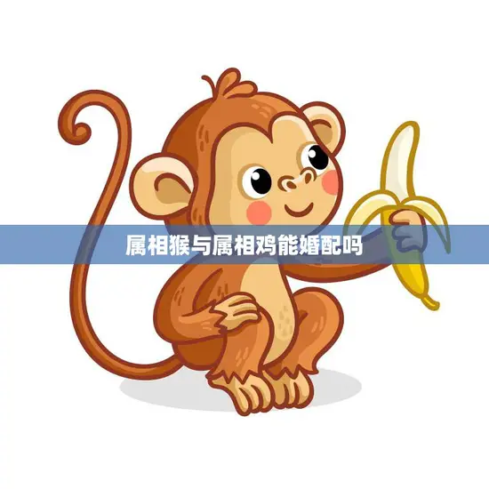 属相猴与属相鸡能婚配吗(解密属相配对的奥秘)