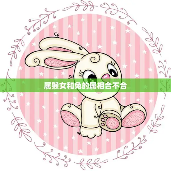 属猴女和兔的属相合不合(如何看待)