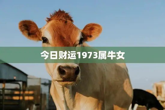 今日财运1973属牛女(财运亨通财源滚滚)