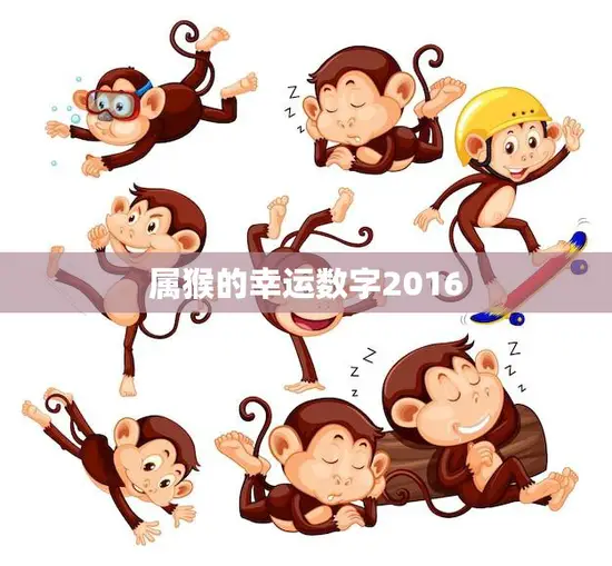属猴的幸运数字2016(预测数字5将带来好运)