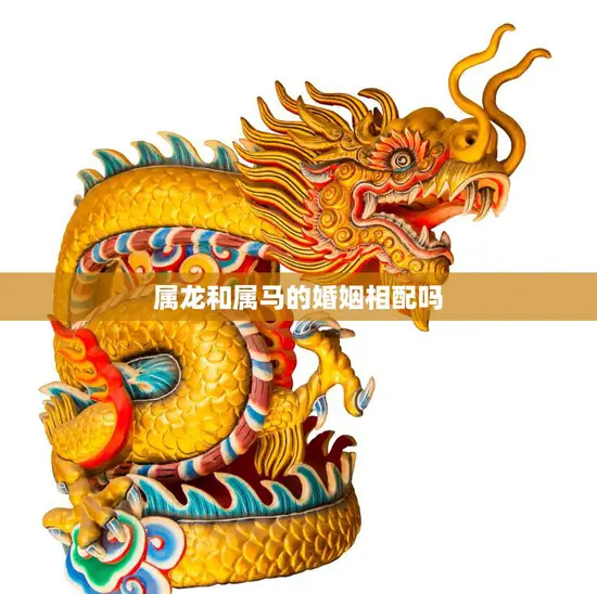 属龙和属马的婚姻相配吗(解析属相配对)