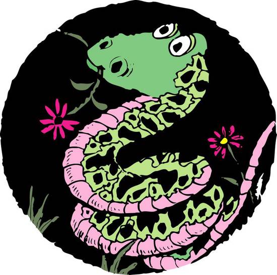 属蛇的和什么属相最婚配(最佳配对大揭秘)