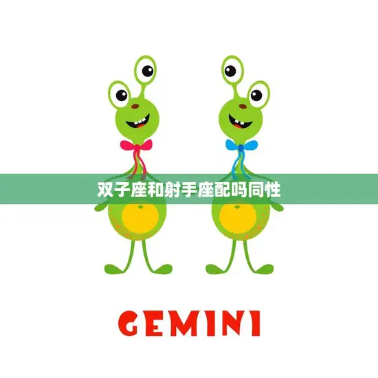 双子座和射手座配吗同性(星座配对分析)