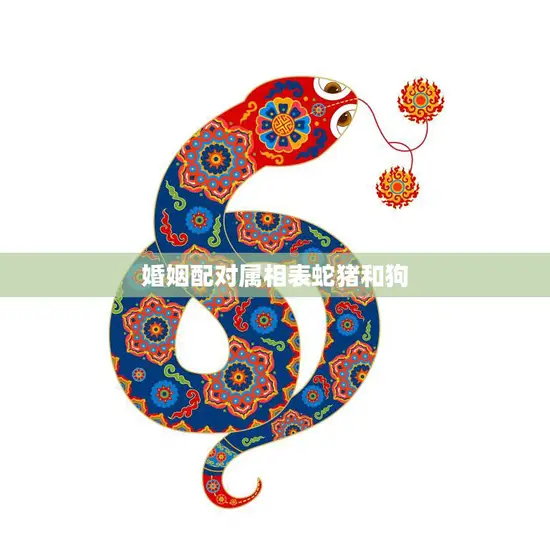婚姻配对属相表蛇猪和狗(三者缘分难断)