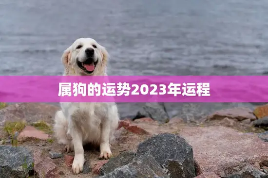 属狗的运势2023年运程(狗年大展宏图财运亨通事业顺利)