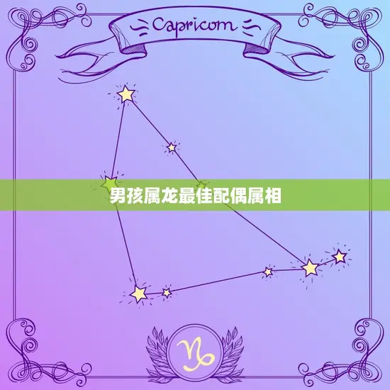 男孩属龙配偶属相(介绍与哪些属相最般配)