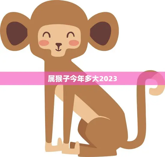 属猴子今年多大2023(猴年将至猴子们的年龄将迎来新变化)