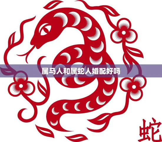 属马人和属蛇人婚配好吗(星座配对分析)