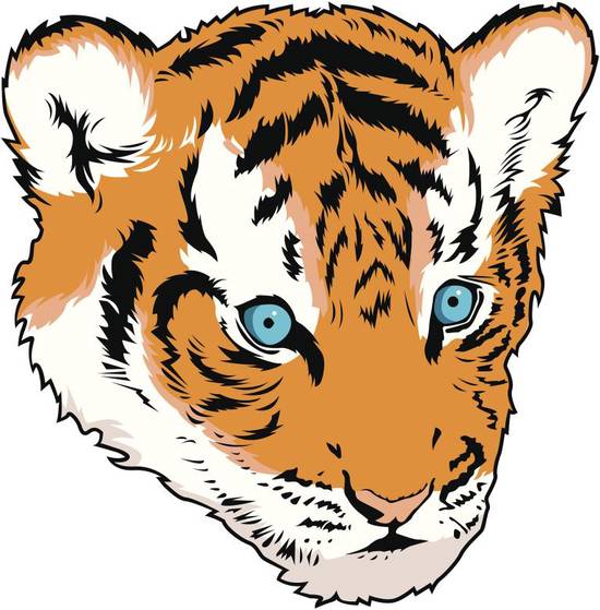 属虎的今年多少岁虚岁呢(解密属虎人的年龄计算方法)