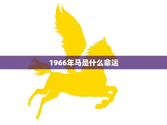 1966年马是什么命运(马到成功还是遭遇波折)