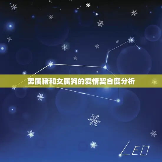 男属猪和女属狗相配吗(介绍命理学角度下的爱情契合度)