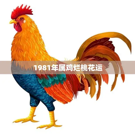 1981年属鸡烂桃花运(如何化解)