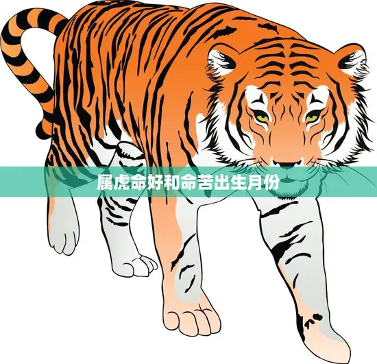 属虎命好和命苦出生月份(如何影响你的命运)