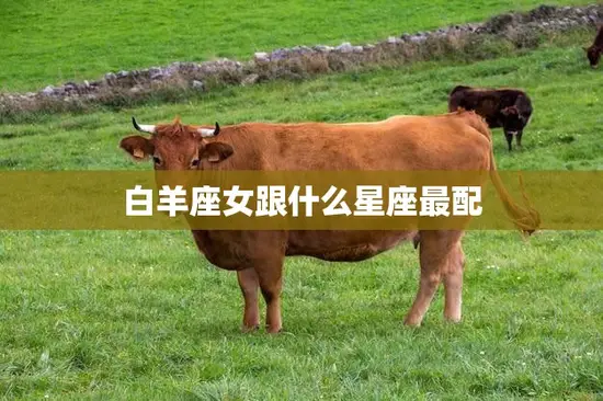 白羊座女跟什么星座最配(十二星座配对大揭秘)