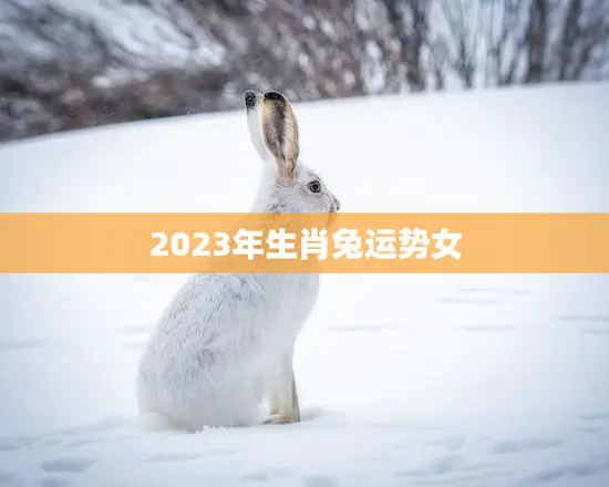 2023年生肖兔运势女(好运连连财源滚滚来)