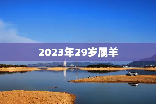2023年29岁属羊(如何规划未来)