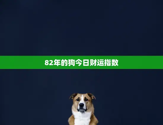 82年的狗今日财运指数(财运亨通财源滚滚来)