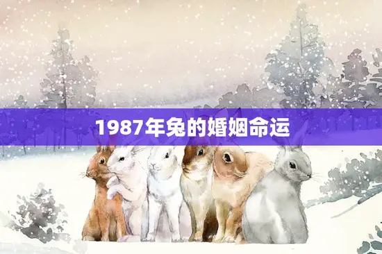 1987年兔的婚姻命运(如何预测和改变)
