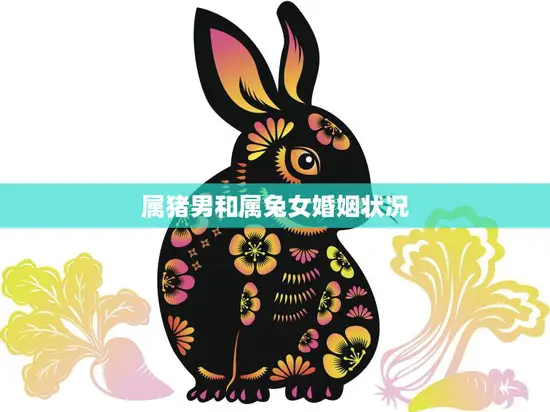 属猪男和属兔女婚姻状况(幸福的秘诀)