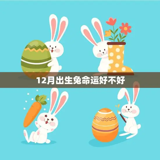 12月出生兔命运好不好(看看这些指标就知道了)