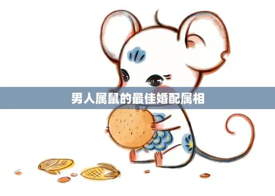 男人属鼠的最佳婚配属相(如何选择)