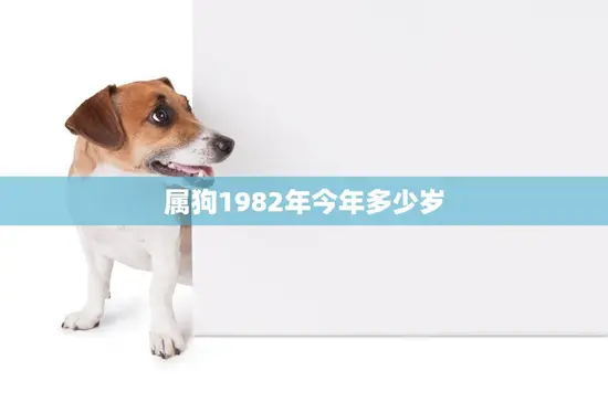 属狗1982年今年多少岁(如何计算属狗人今年的年龄)